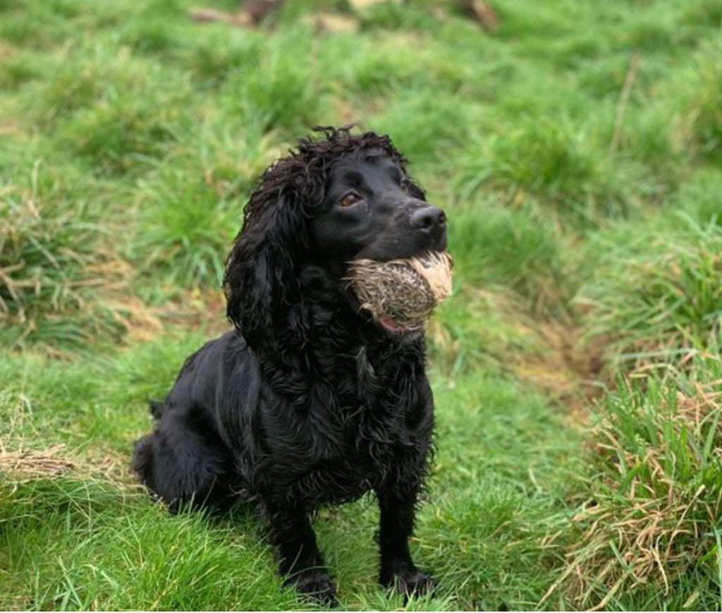 BG Rabbit Scent Ball