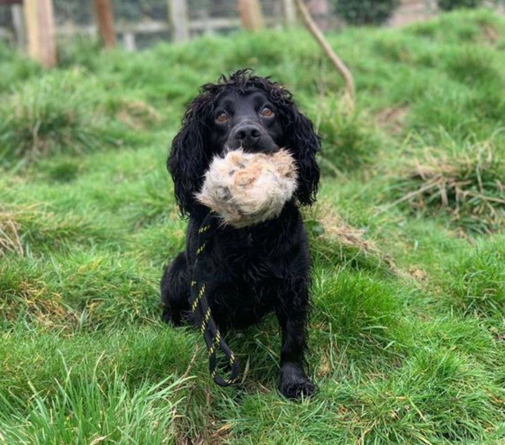 BG Rabbit Distance marking ball with rope