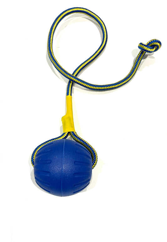 $10 Floatie Ball on rope
