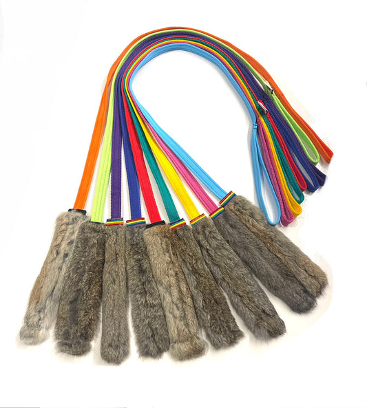 Rainbow Bunny Chaser