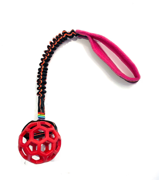 SALE - Bungee Ho-Lee Roller