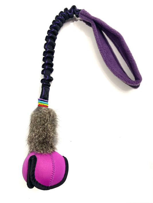 Rainbow Pod with Bungee & Bunny - Mini