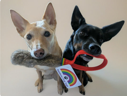 Rainbow Pocket Rabbit Tug