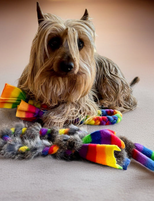Rainbow Rabbit & Fleece Braided Tugs