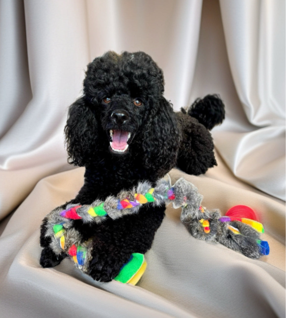 Rainbow Rabbit & Fleece Braided Tugs