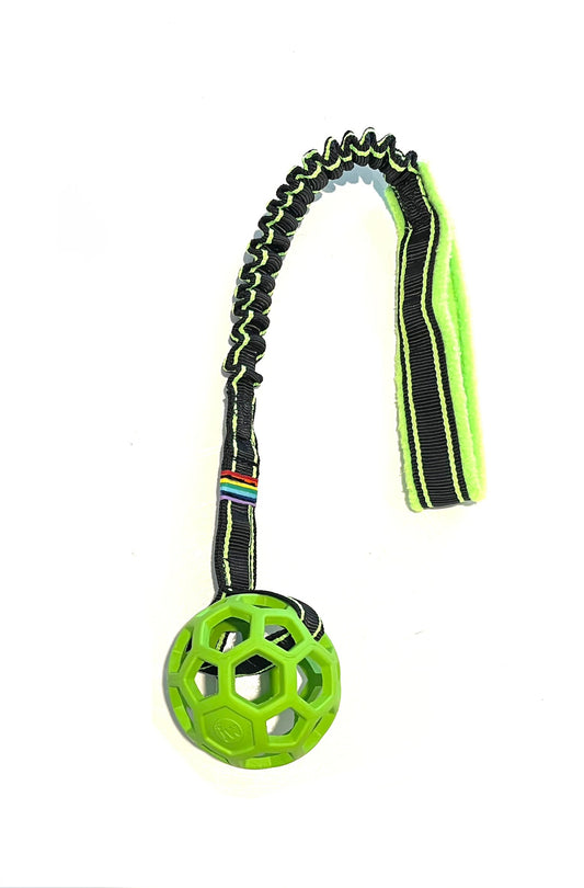 SALE - Bungee Ho-Lee Roller