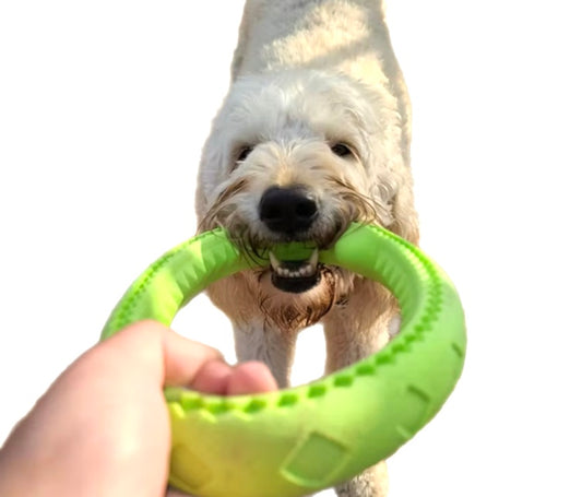 Frisbee Toys - Ring styles