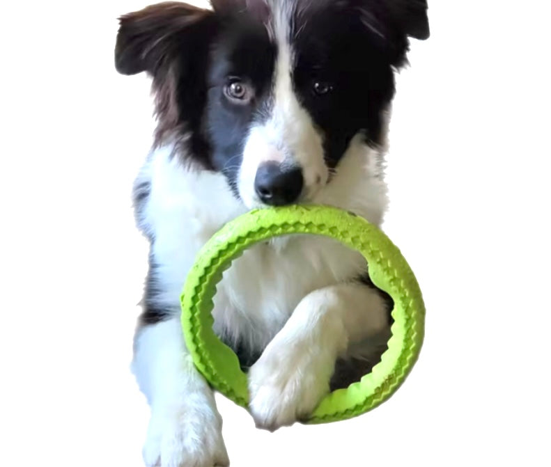 Frisbee Toys - Ring styles