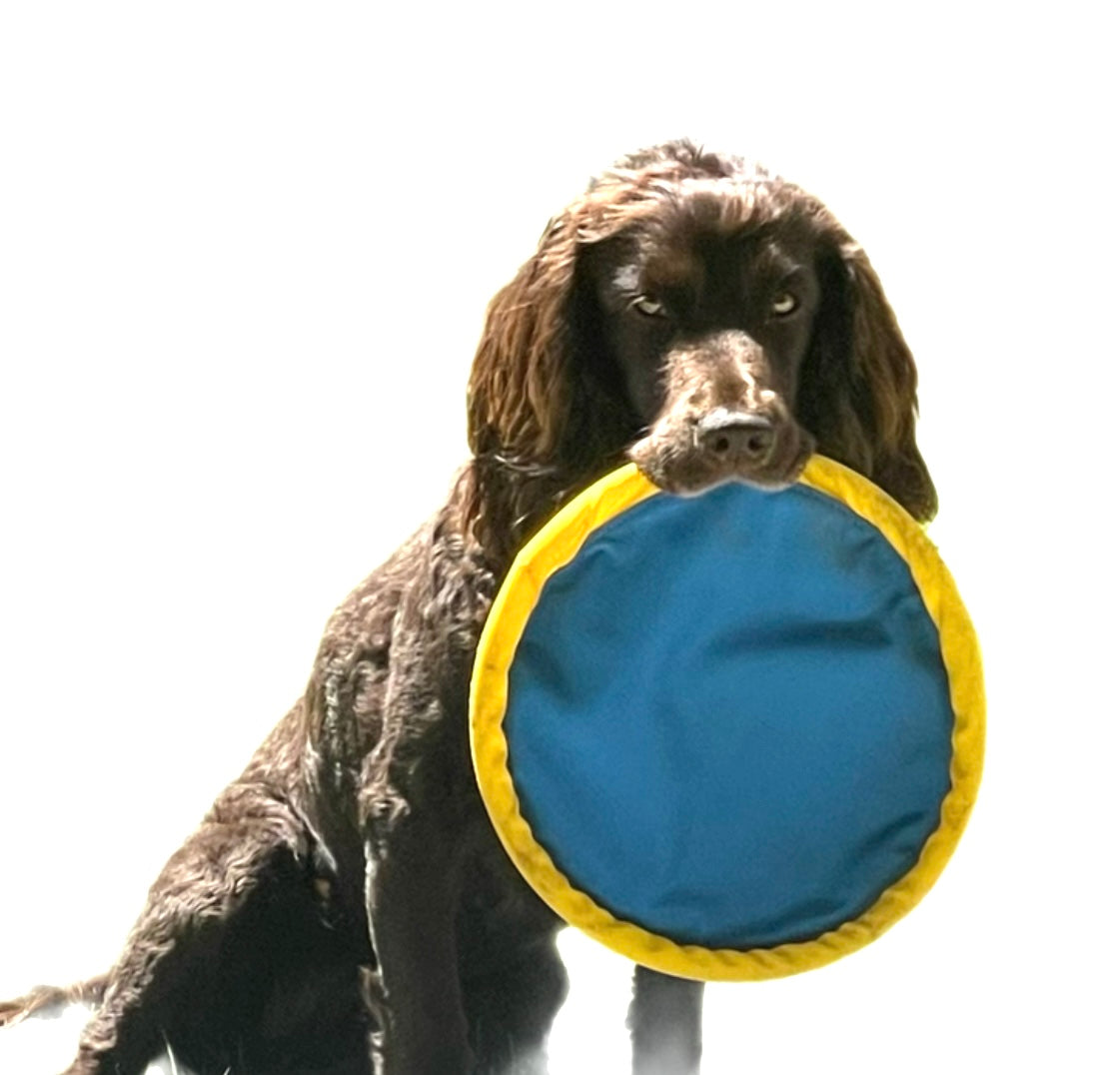 Frisbee Toys - Solid Styles