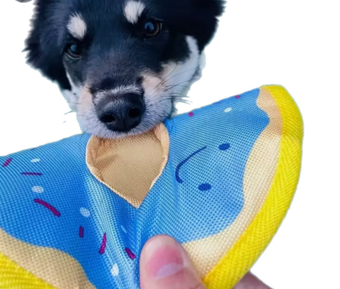 Frisbee Toys - Ring styles