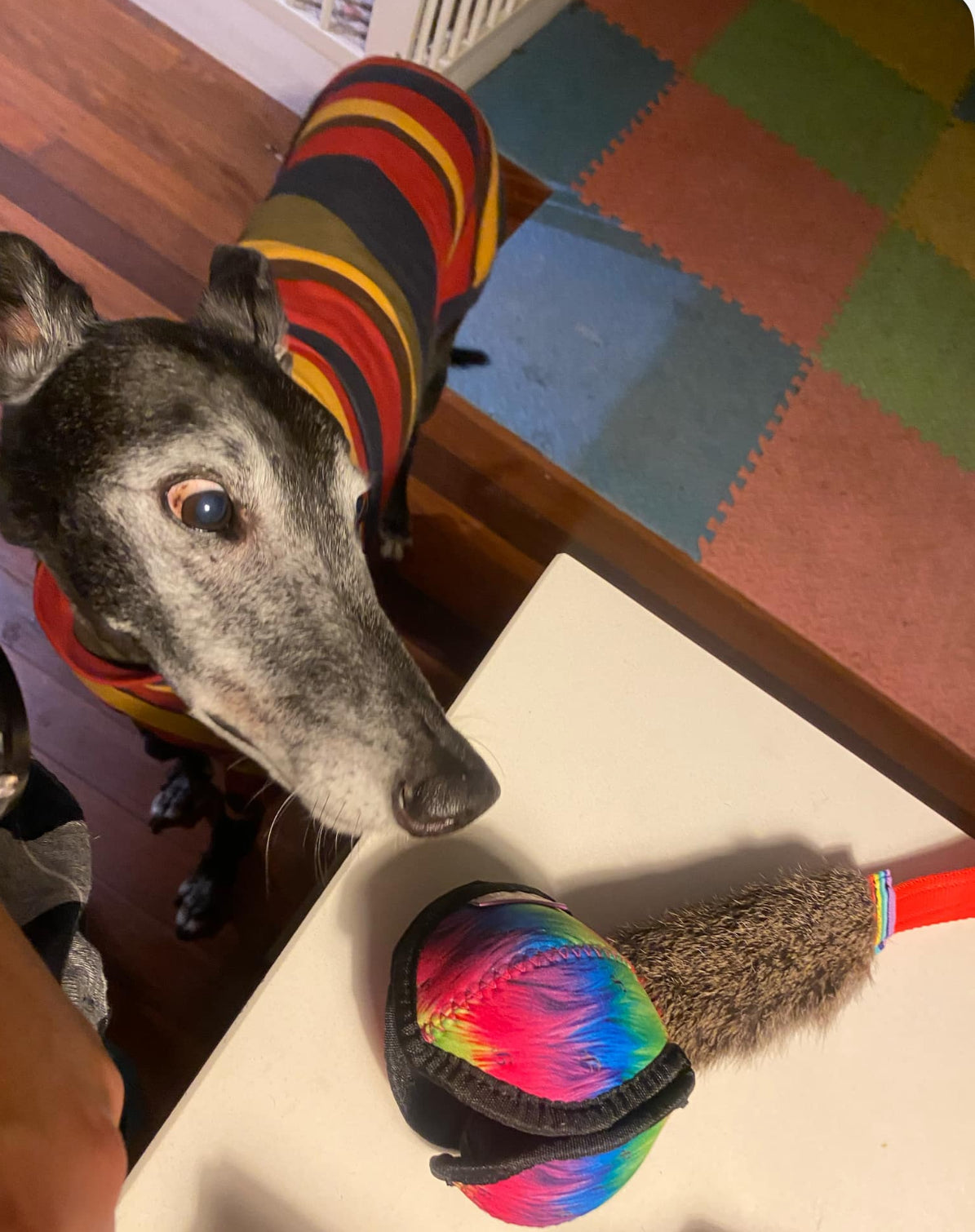 Rainbow Pocket Pod Rabbit or Fur - Standard size Pod