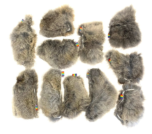 Rainbow Pouch Motivators