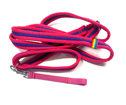 Rainbow No Pull Leads with Collar Connector