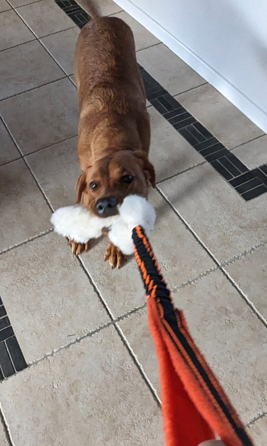 Sheepskin Bungee