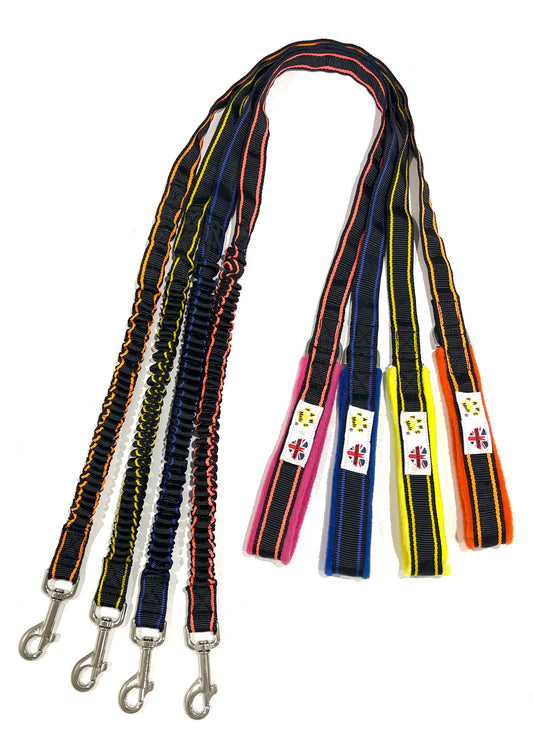 Pawsmade Bungee Lead