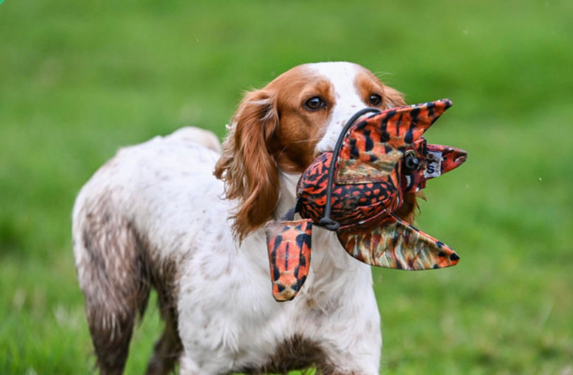 Mini Dead Bird Dummy - Partridge