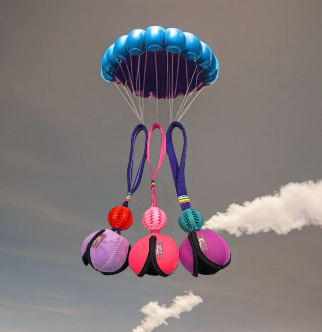 Pod Flyer