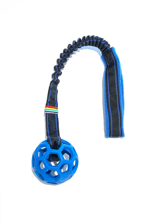 Bungee Ho-Lee Roller