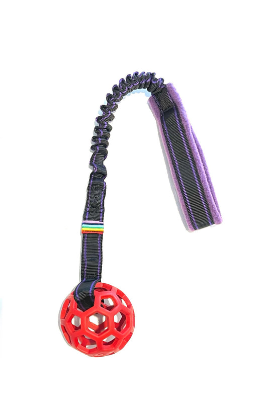 Bungee Ho-Lee Roller