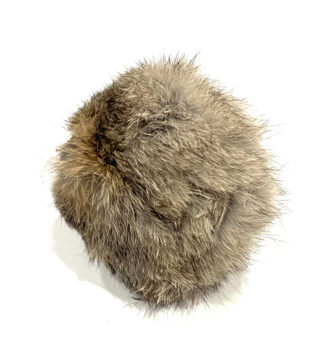 Scurry Dog Training Gear