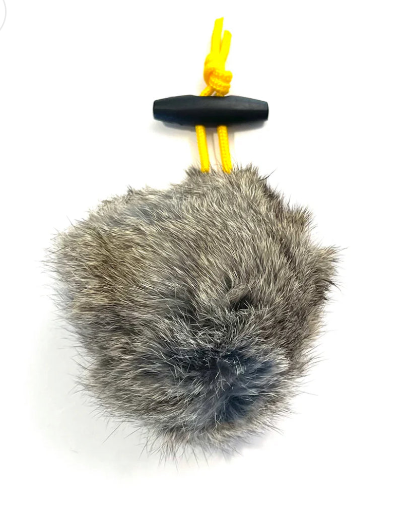 Scurry Dog Training Gear