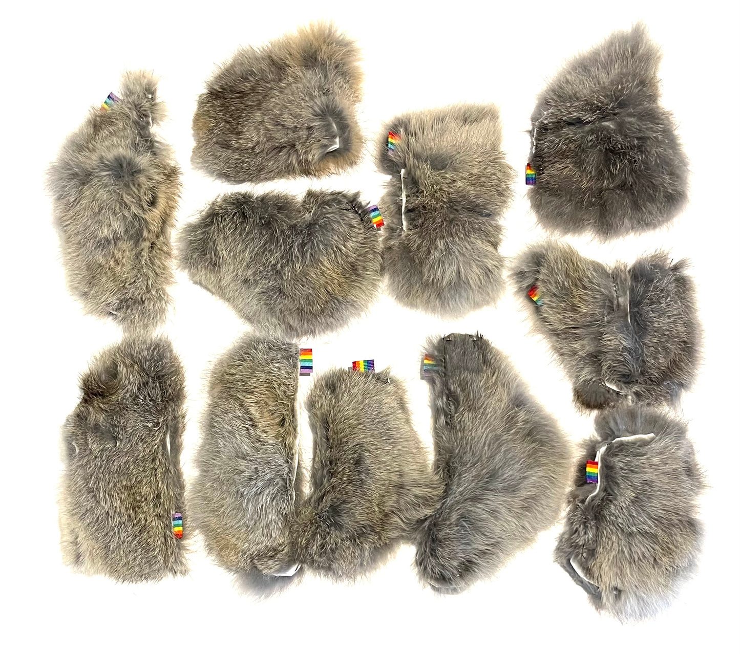 Rainbow Pouch Motivators