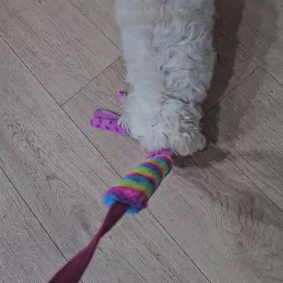 Puppy Pals